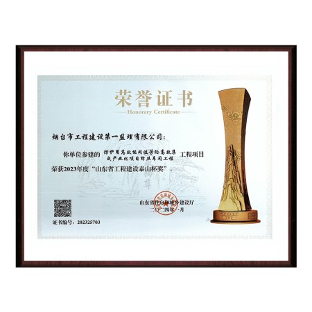 “防護項目紡絲車間工程”2023年山東省工程建設泰山杯獎